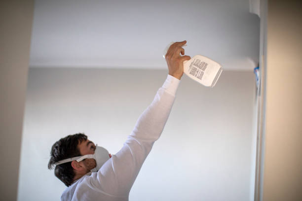Best Mold Remediation for Schools in Hartford, MI