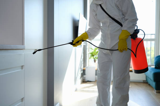 Best Mold Remediation for Specific Building Types in Hartford, MI