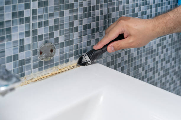 Best DIY Mold Remediation Support Services in Hartford, MI